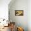 Tea Drinker-Jean-Baptiste Simeon Chardin-Framed Stretched Canvas displayed on a wall