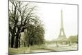 Photographic Print