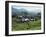 Tea Estate Near Munnar, Kerala State, India-Harding Robert-Framed Photographic Print