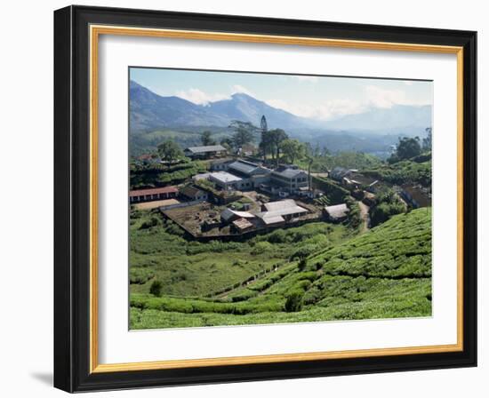 Tea Estate Near Munnar, Kerala State, India-Harding Robert-Framed Photographic Print