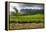 Tea Estate on Mount Mulanje, Malawi, Africa-Michael Runkel-Framed Premier Image Canvas