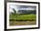 Tea Estate on Mount Mulanje, Malawi, Africa-Michael Runkel-Framed Photographic Print