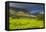 Tea Estate on Mount Mulanje, Malawi, Africa-Michael Runkel-Framed Premier Image Canvas