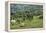 Tea Fields in Rize, Black Sea Region of Turkey-Ali Kabas-Framed Premier Image Canvas