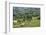 Tea Fields in Rize, Black Sea Region of Turkey-Ali Kabas-Framed Photographic Print