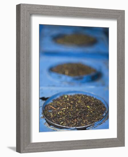 Tea for Sale in Market, Darjeeling, West Bengal, India-Jane Sweeney-Framed Photographic Print