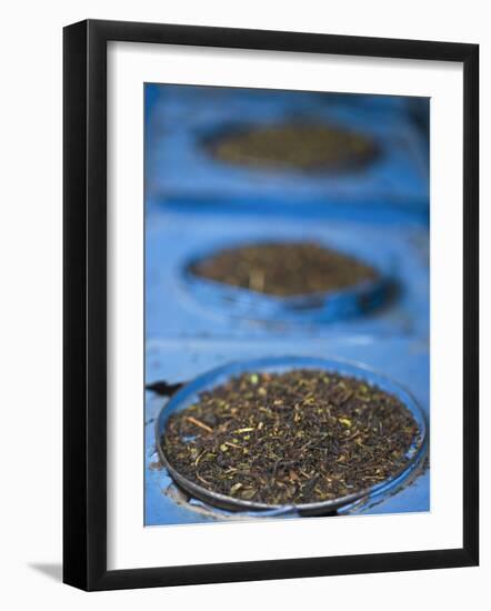 Tea for Sale in Market, Darjeeling, West Bengal, India-Jane Sweeney-Framed Photographic Print