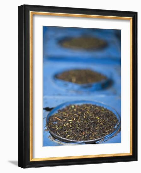 Tea for Sale in Market, Darjeeling, West Bengal, India-Jane Sweeney-Framed Photographic Print