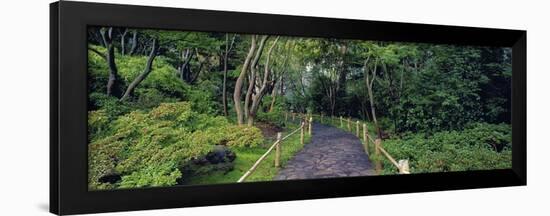 Tea Garden Walkway, San Francisco Botanical Gardens-Richard Berenholtz-Framed Art Print