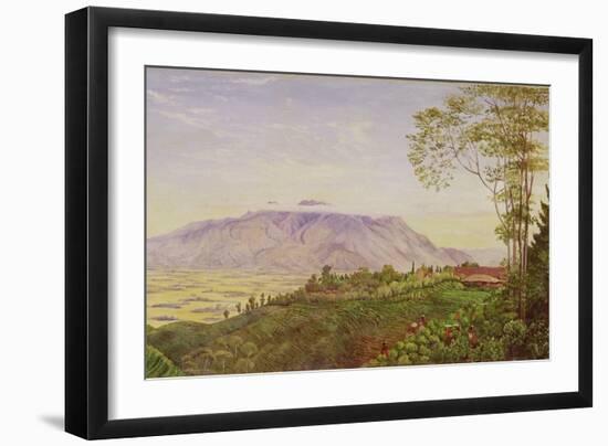 Tea Gathering in Mr. Hoelle's Plantation at Garoet, Java, circa 1875 (Board)-Marianne North-Framed Giclee Print