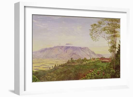 Tea Gathering in Mr. Hoelle's Plantation at Garoet, Java, circa 1875 (Board)-Marianne North-Framed Giclee Print