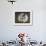 Tea House Window, Sesshuji Temple, Kyoto, Japan-Rob Tilley-Framed Photographic Print displayed on a wall