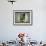 Tea House Window, Sesshuji Temple, Kyoto, Japan-Rob Tilley-Framed Photographic Print displayed on a wall