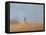 Tea in the Desert-Lincoln Seligman-Framed Premier Image Canvas