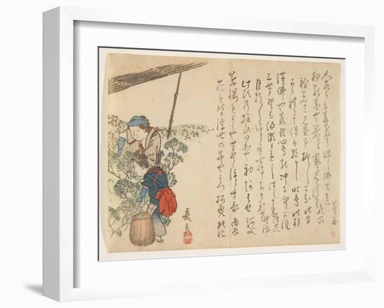 Tea Pickers, C.1830-44-Murata Kagen-Framed Giclee Print