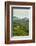 Tea Plantation in the Mountains of Southern Uganda, East Africa, Africa-Michael-Framed Photographic Print