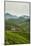 Tea Plantation in the Mountains of Southern Uganda, East Africa, Africa-Michael-Mounted Photographic Print