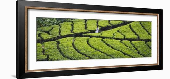 Tea Plantation, Kerala, India-Keren Su-Framed Photographic Print