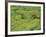 Tea Plantation, Kerala, Southern India-Peter Adams-Framed Photographic Print