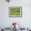 Tea Plantation, Kerala, Southern India-Peter Adams-Framed Photographic Print displayed on a wall