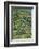 Tea plantation, Sanjiang, Guangxi Province, China-Keren Su-Framed Photographic Print