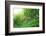 Tea Plantation with Bamboo Forest-Liang Zhang-Framed Photographic Print