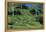 Tea Plantation-Alan Sirulnikoff-Framed Premier Image Canvas