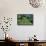 Tea Plantation-Alan Sirulnikoff-Framed Premier Image Canvas displayed on a wall