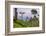 Tea Plantation-Matthew Williams-Ellis-Framed Photographic Print