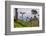 Tea Plantation-Matthew Williams-Ellis-Framed Photographic Print