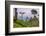 Tea Plantation-Matthew Williams-Ellis-Framed Photographic Print