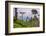 Tea Plantation-Matthew Williams-Ellis-Framed Photographic Print