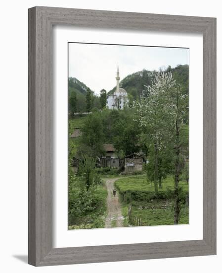 Tea Plantations and Almond Blossom in Coastal Region, Trabzon Area, Anatolia, Turkey-Adam Woolfitt-Framed Photographic Print