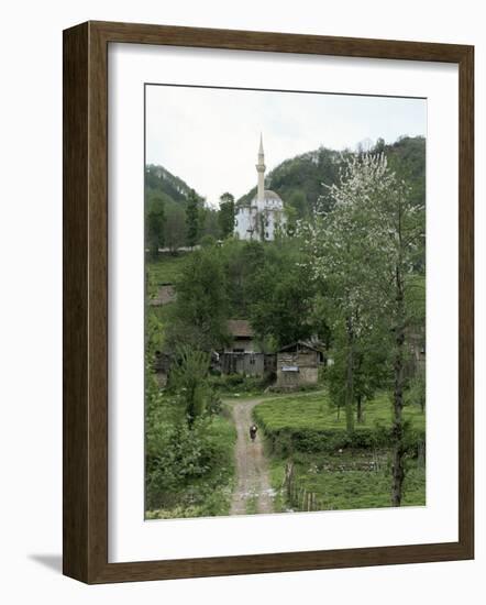 Tea Plantations and Almond Blossom in Coastal Region, Trabzon Area, Anatolia, Turkey-Adam Woolfitt-Framed Photographic Print