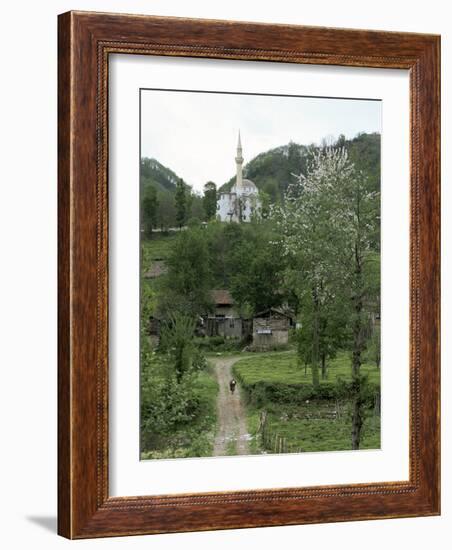 Tea Plantations and Almond Blossom in Coastal Region, Trabzon Area, Anatolia, Turkey-Adam Woolfitt-Framed Photographic Print