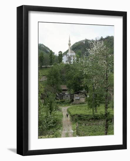 Tea Plantations and Almond Blossom in Coastal Region, Trabzon Area, Anatolia, Turkey-Adam Woolfitt-Framed Photographic Print