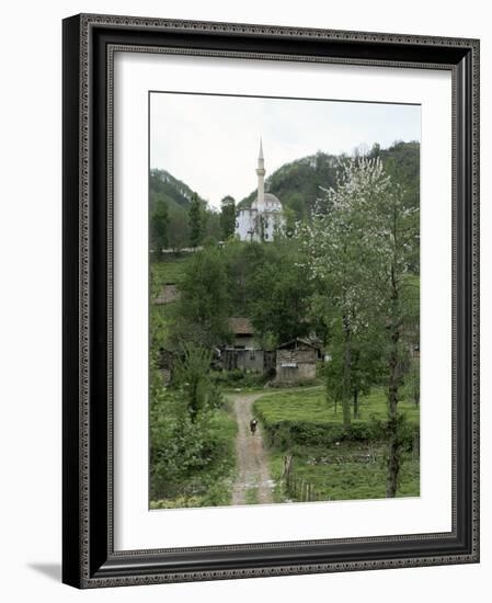 Tea Plantations and Almond Blossom in Coastal Region, Trabzon Area, Anatolia, Turkey-Adam Woolfitt-Framed Photographic Print