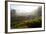 Tea Plantations and Road, Munnar, Western Ghats, Kerala, South India-Peter Adams-Framed Photographic Print