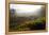 Tea Plantations and Road, Munnar, Western Ghats, Kerala, South India-Peter Adams-Framed Premier Image Canvas