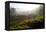 Tea Plantations and Road, Munnar, Western Ghats, Kerala, South India-Peter Adams-Framed Premier Image Canvas