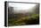 Tea Plantations and Road, Munnar, Western Ghats, Kerala, South India-Peter Adams-Framed Premier Image Canvas