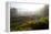 Tea Plantations and Road, Munnar, Western Ghats, Kerala, South India-Peter Adams-Framed Premier Image Canvas