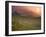 Tea Plantations, Munnar, Western Ghats, Kerala, India-Michele Falzone-Framed Photographic Print