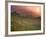 Tea Plantations, Munnar, Western Ghats, Kerala, India-Michele Falzone-Framed Photographic Print