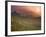 Tea Plantations, Munnar, Western Ghats, Kerala, India-Michele Falzone-Framed Photographic Print