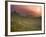 Tea Plantations, Munnar, Western Ghats, Kerala, India-Michele Falzone-Framed Photographic Print