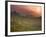 Tea Plantations, Munnar, Western Ghats, Kerala, India-Michele Falzone-Framed Photographic Print