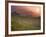 Tea Plantations, Munnar, Western Ghats, Kerala, India-Michele Falzone-Framed Photographic Print