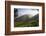 Tea Plantations, Munnar, Western Ghats, Kerala, South India-Peter Adams-Framed Photographic Print