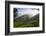 Tea Plantations, Munnar, Western Ghats, Kerala, South India-Peter Adams-Framed Photographic Print